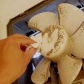 Hướng dẫn vệ sinh quạt thông gió LiOA